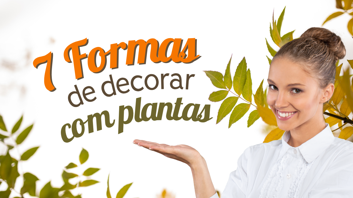 7 Segredos Para Ter uma Planta de Casa Saudável e Bonita o Ano Todo 1 planta de casa